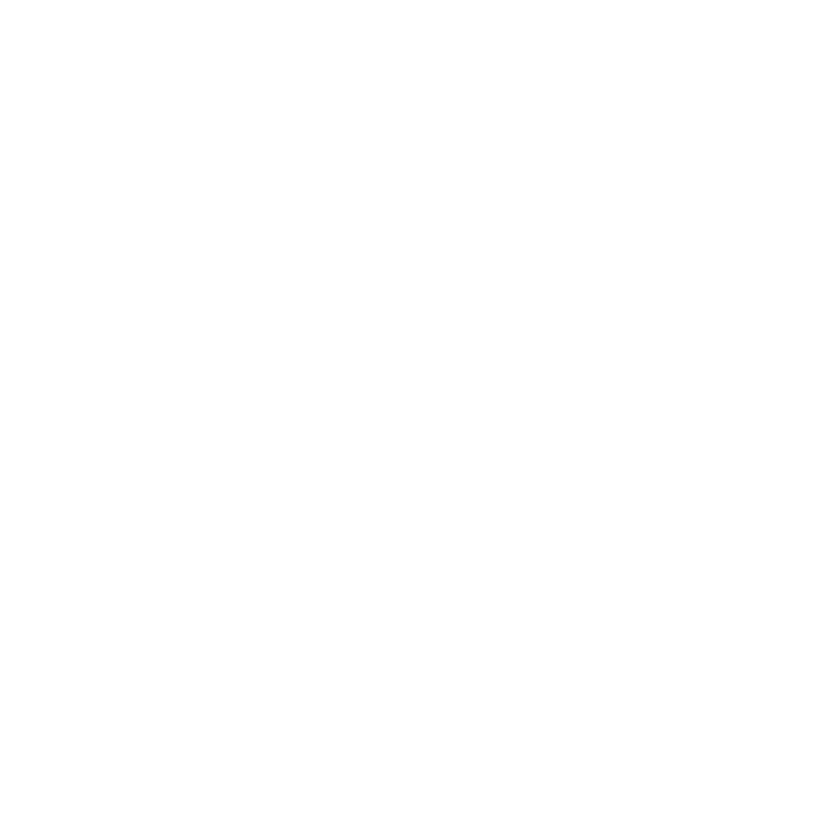 Espicarri Logo